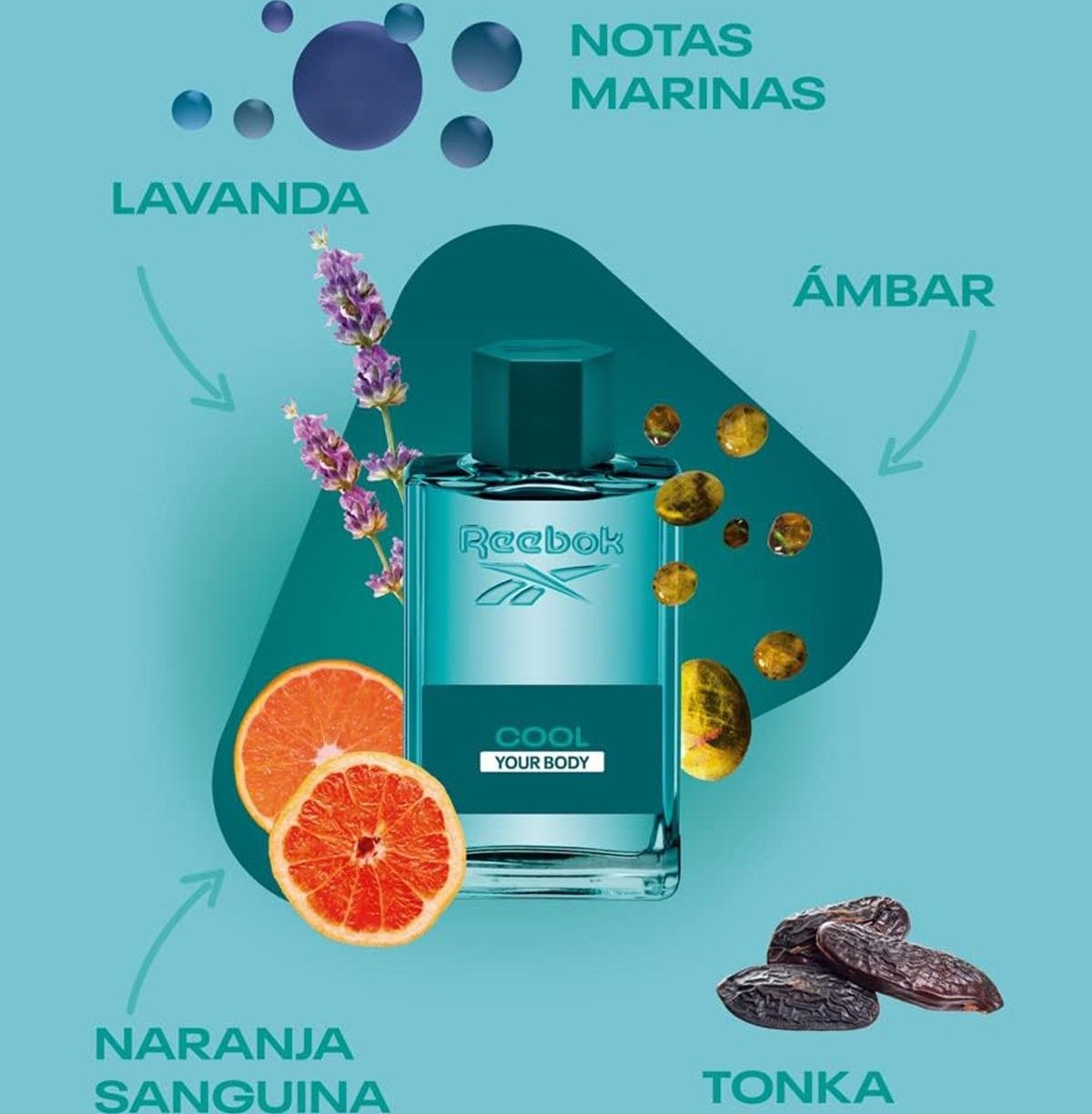 تصویر محصول